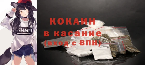 гашик Михайловка
