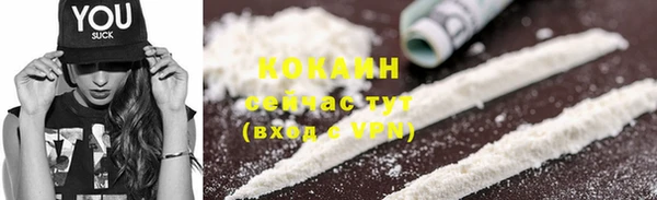 гашик Михайловка