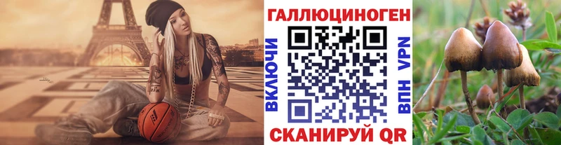 наркотики  Бор  Псилоцибиновые грибы мицелий 