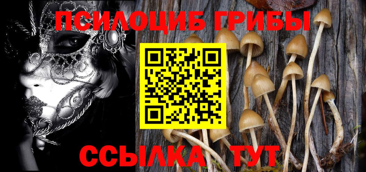 Галлюциногенные грибы Cubensis  Псилоцибиновые грибы Psilocybe  Бор  Вход с VPN 