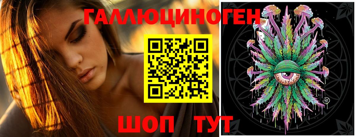 Псилоцибиновые грибы Cubensis Бор