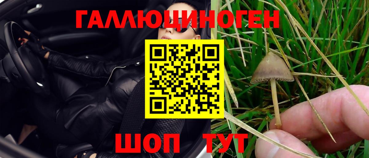 Псилоцибиновые грибы GOLDEN TEACHER  Бор 